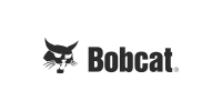 bobcat